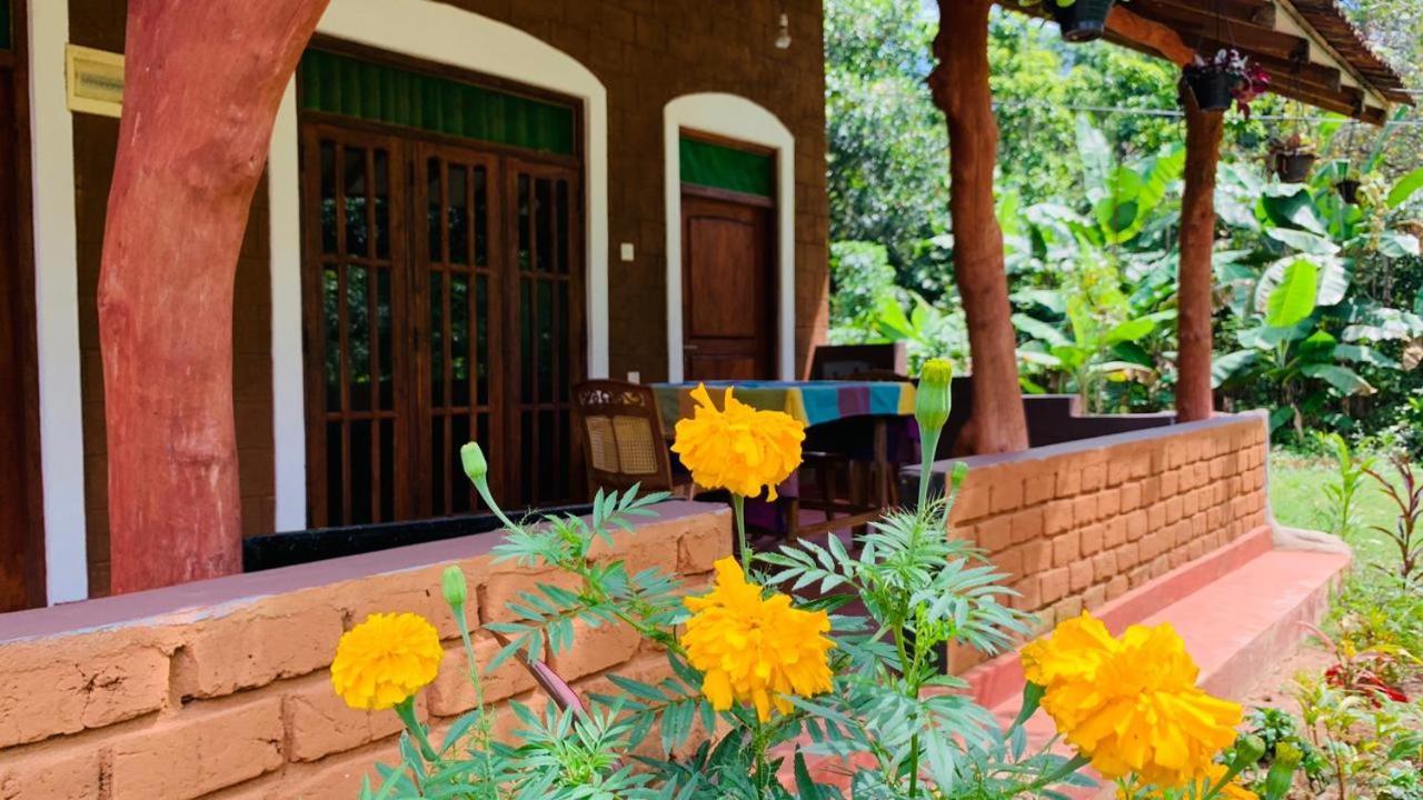 Sigiriya Chena Villa Exteriér fotografie