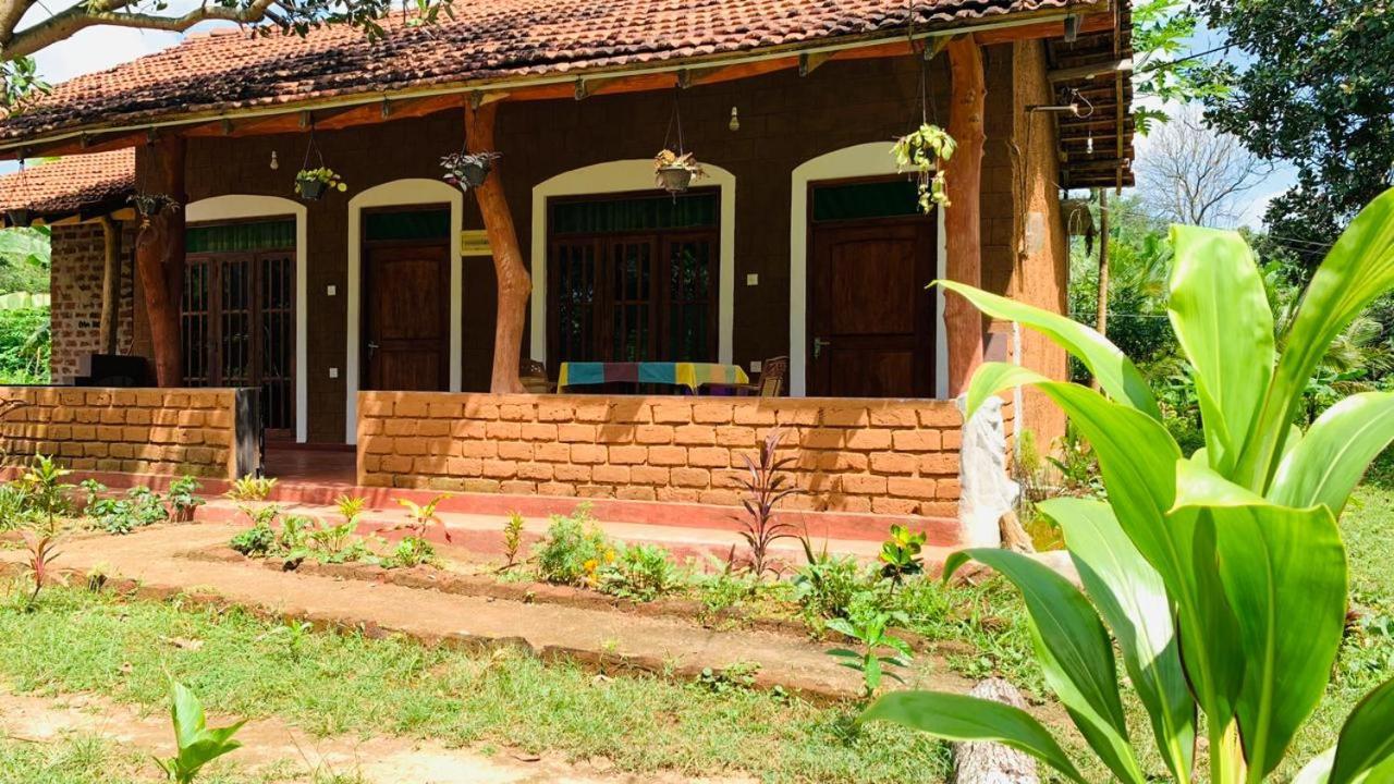 Sigiriya Chena Villa Exteriér fotografie